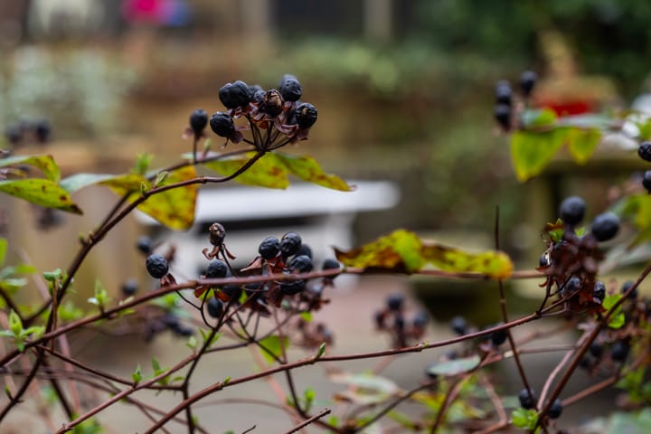 Foto 15 van Bakenbergseweg 205