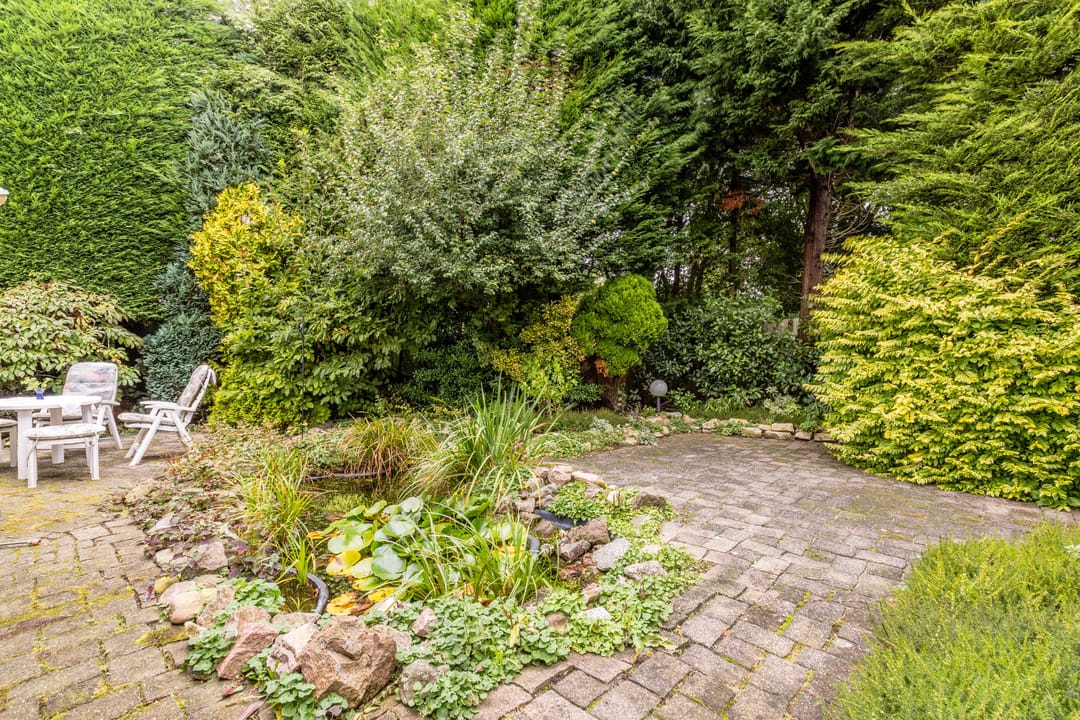 Foto 23 van Mantelmeeuwstraat 4