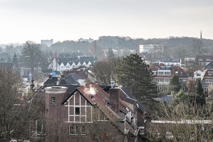 Foto 7 van Zandvoorter Allee 298