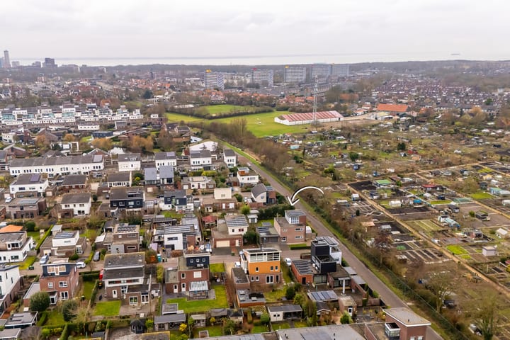 Foto 38 van Helmgras 19