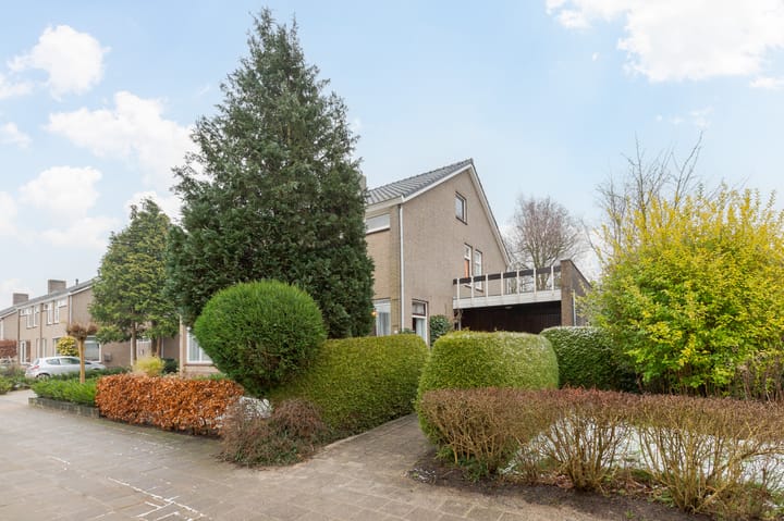 Foto 2 van Meeuwenlaan 77