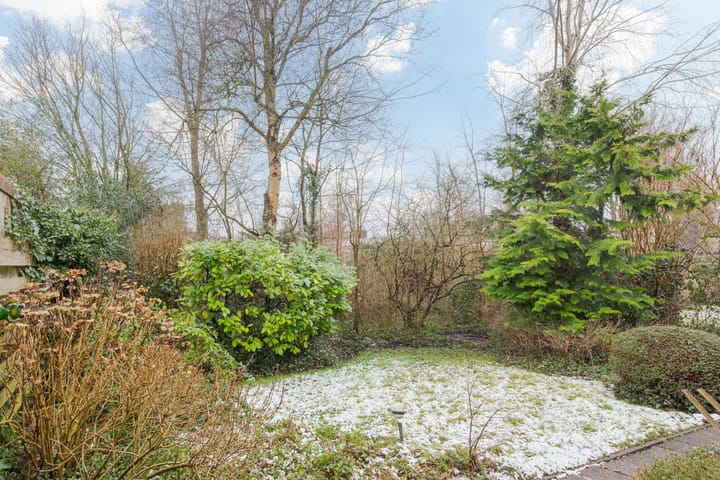 Foto 6 van Meeuwenlaan 77