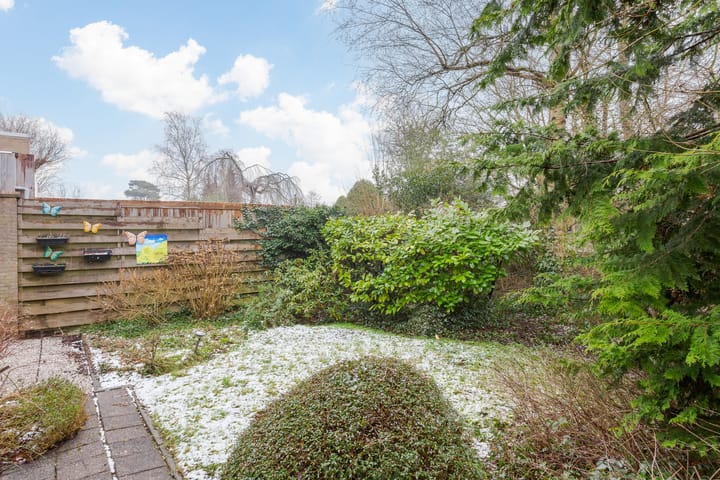 Foto 7 van Meeuwenlaan 77