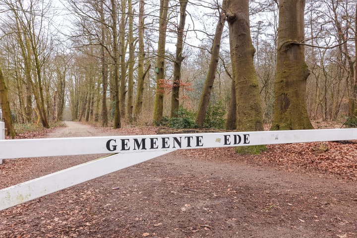 Foto 4 van Bospoort 37