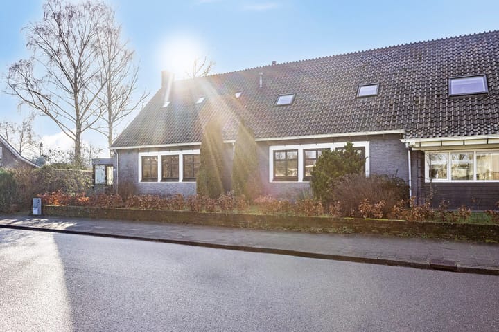 Foto 62 van Pinksterbloem 22