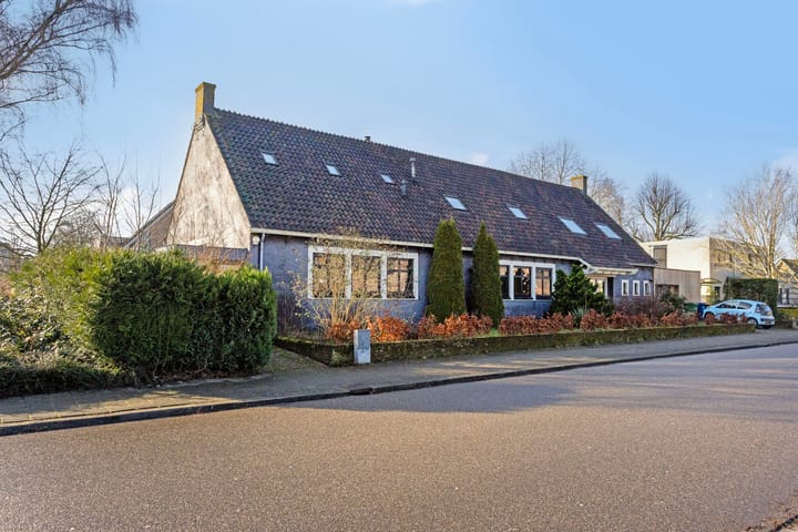 Foto 61 van Pinksterbloem 22