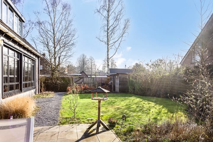 Foto 49 van Pinksterbloem 22