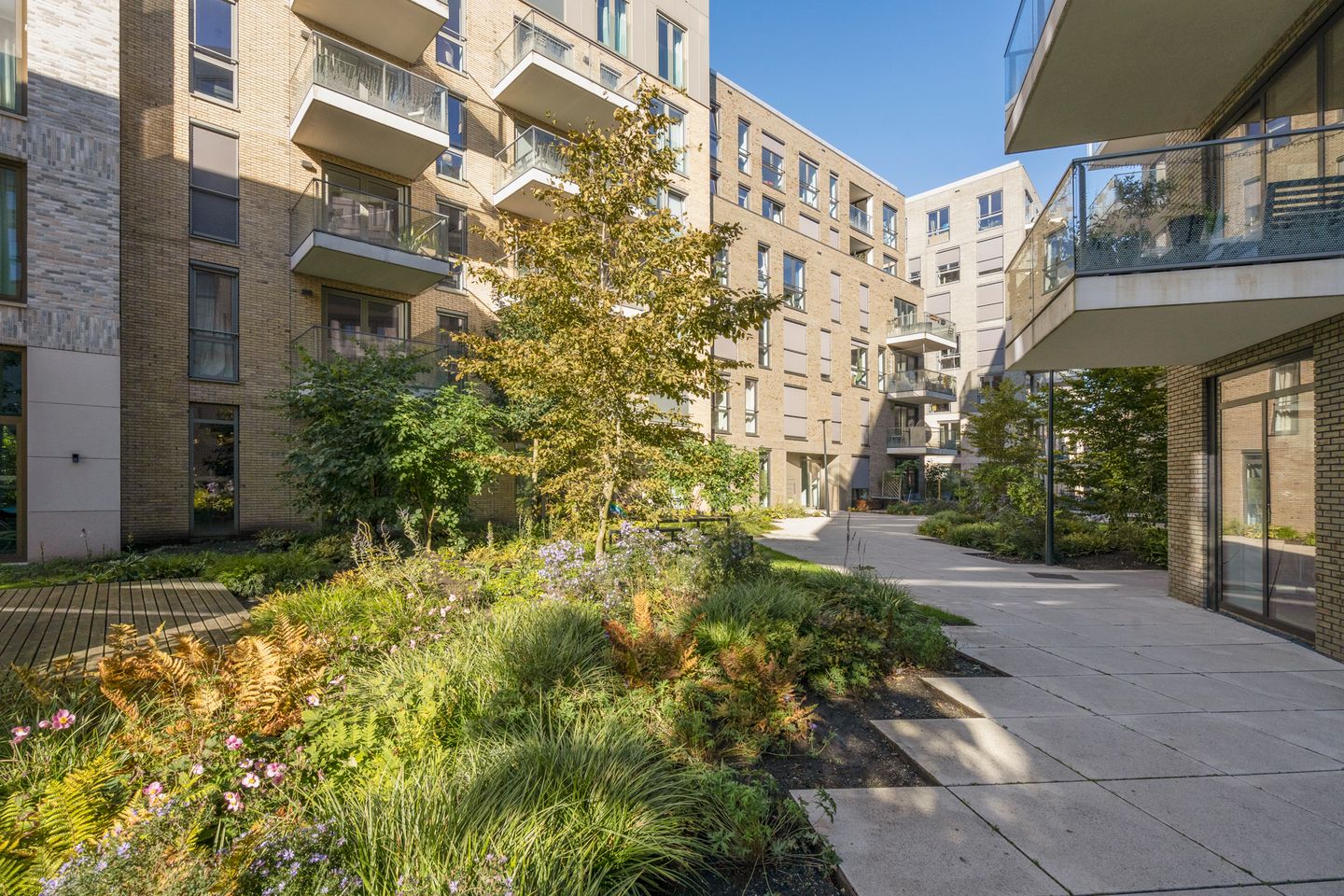 Foto 20 van Rookmelderstraat 20