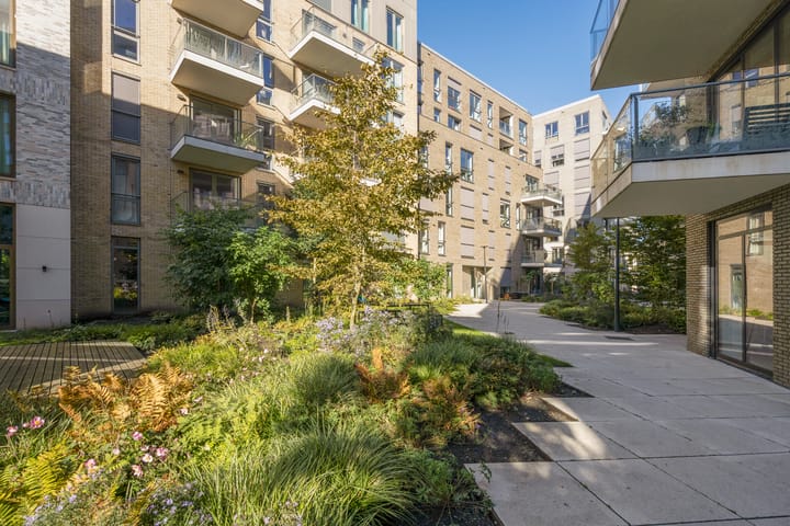 Foto 20 van Rookmelderstraat 20