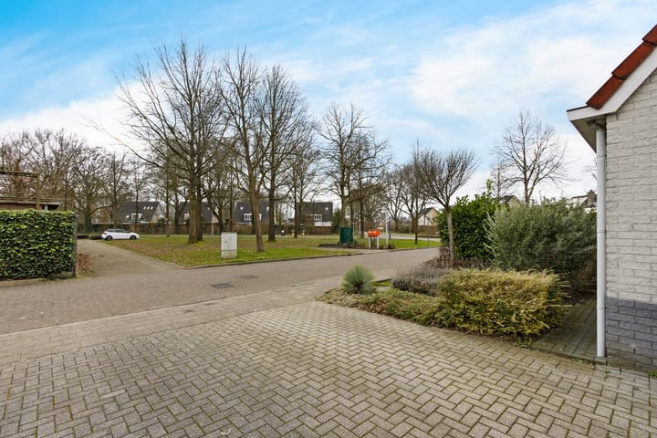 Foto 4 van Pastinaak 7