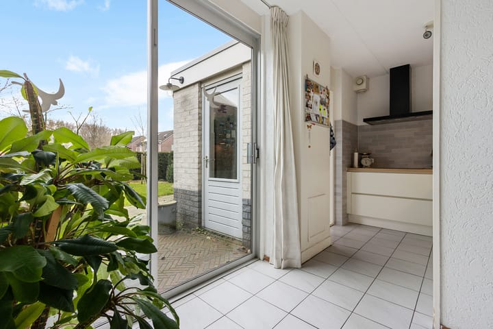 Foto 10 van Pastinaak 7