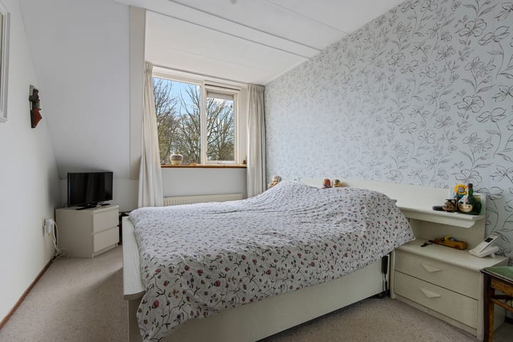 Foto 15 van Pastinaak 7