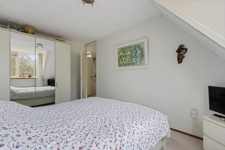 Foto 16 van Pastinaak 7