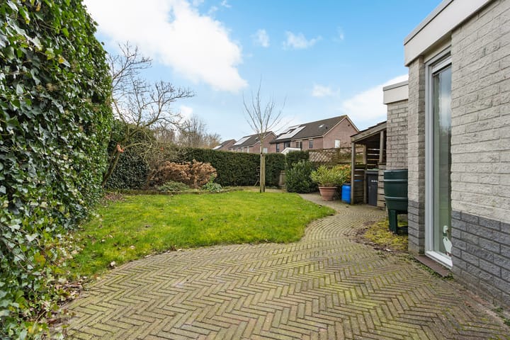 Foto 25 van Pastinaak 7