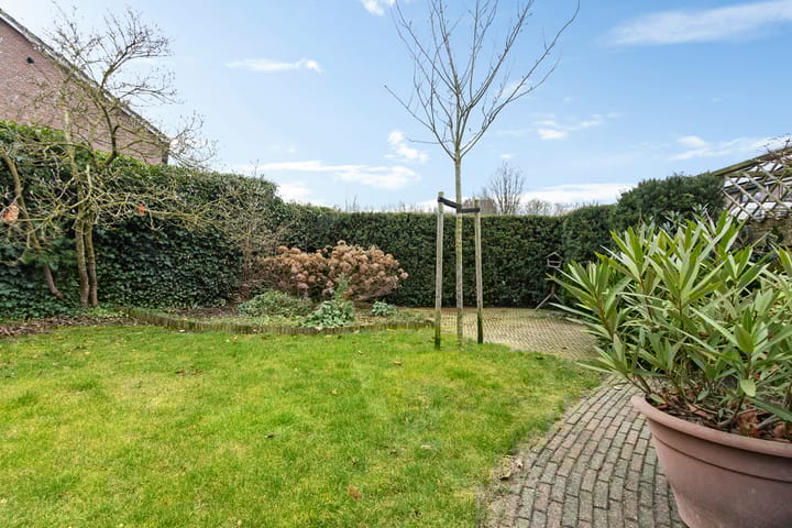 Foto 26 van Pastinaak 7