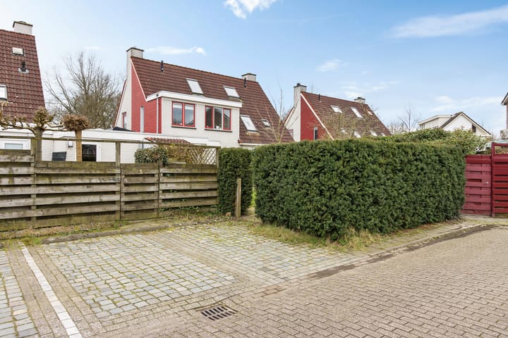 Foto 28 van Pastinaak 7