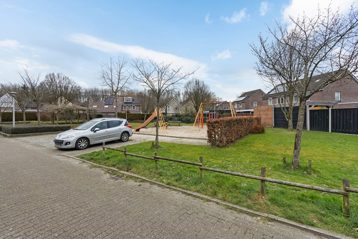 Foto 31 van Pastinaak 7