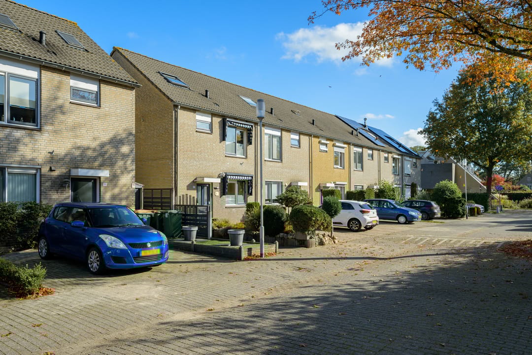 Foto 2 van Scholekster 21