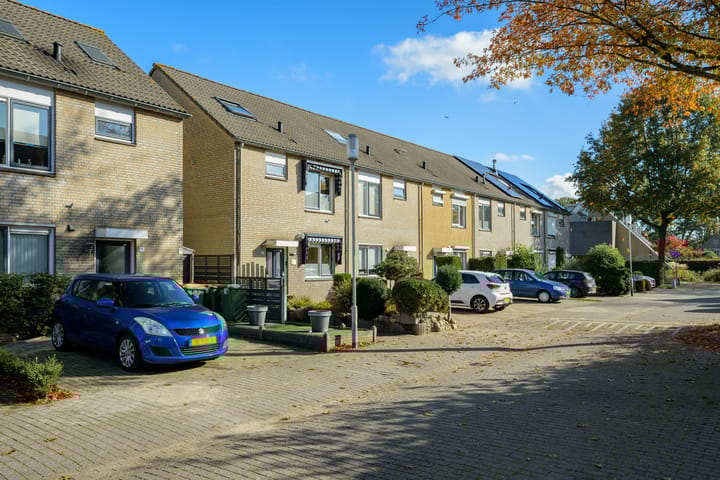 Foto 2 van Scholekster 21