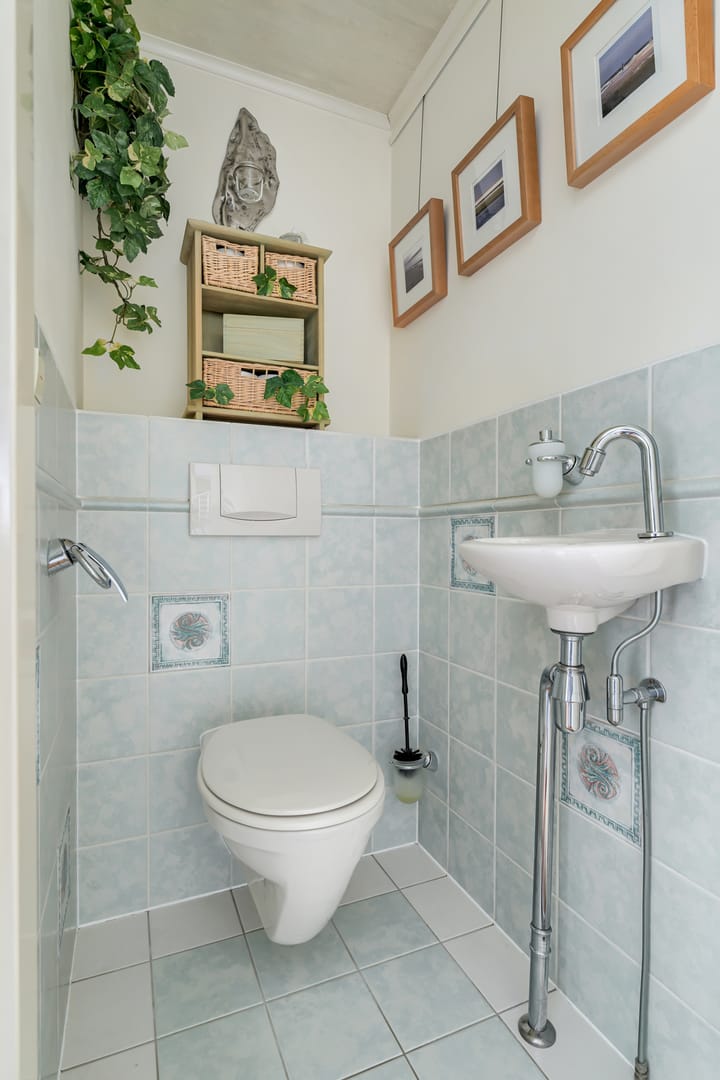 Foto 6 van Scholekster 21