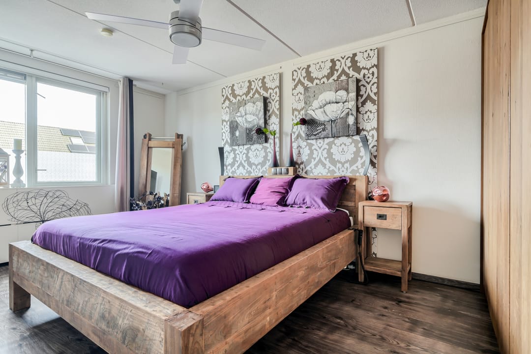 Foto 28 van Scholekster 21