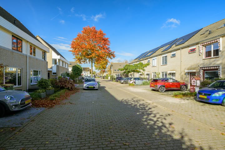 Foto 45 van Scholekster 21