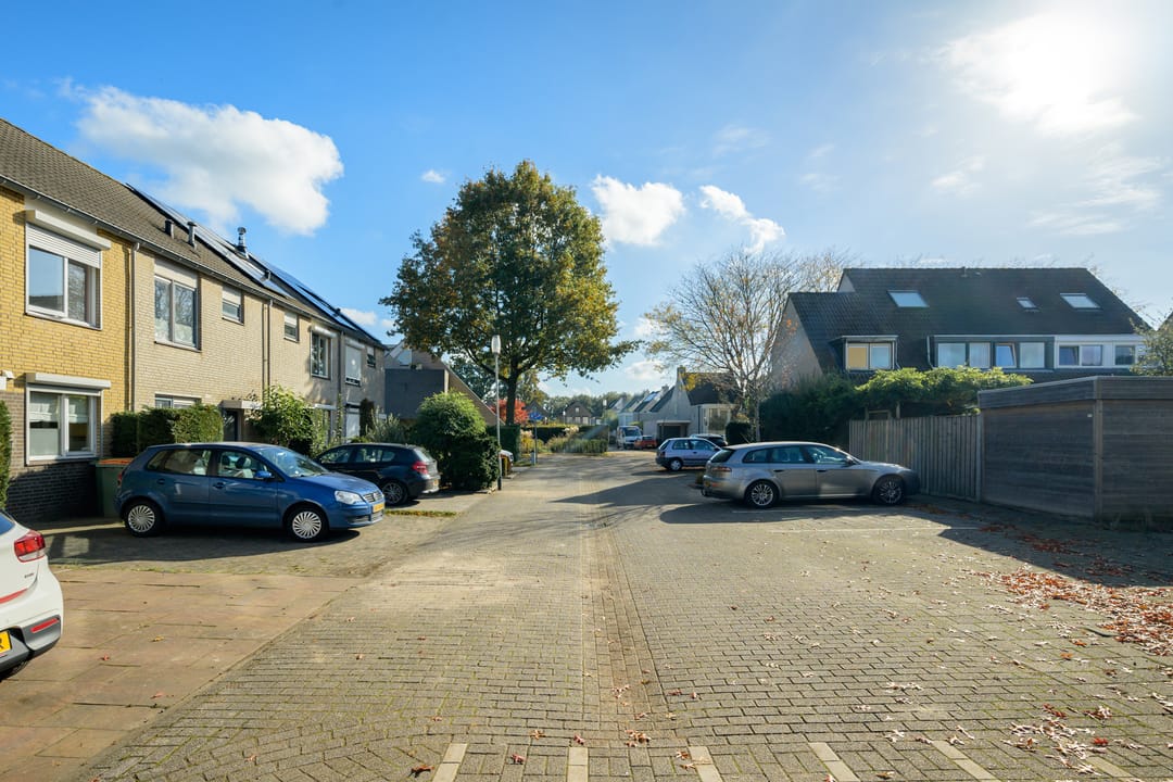 Foto 47 van Scholekster 21