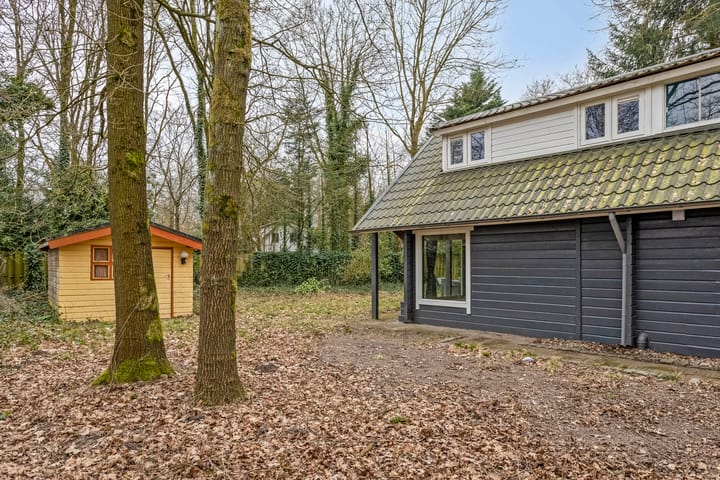 Foto 37 van Hyacinth 108