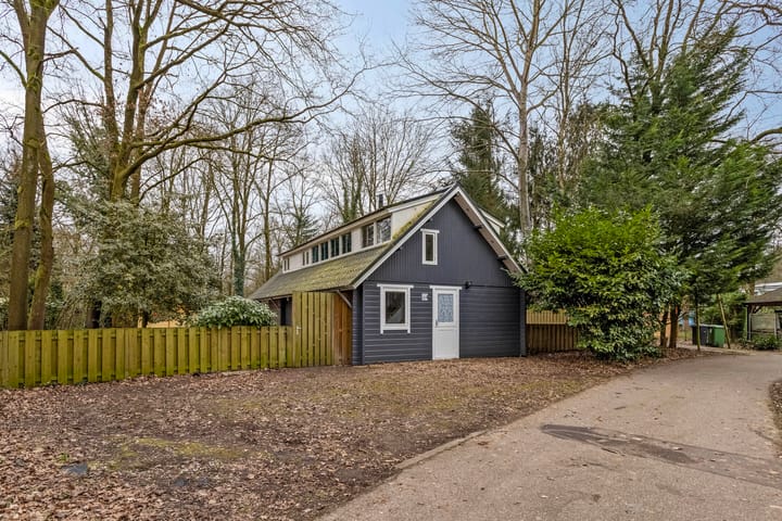 Foto 46 van Hyacinth 108