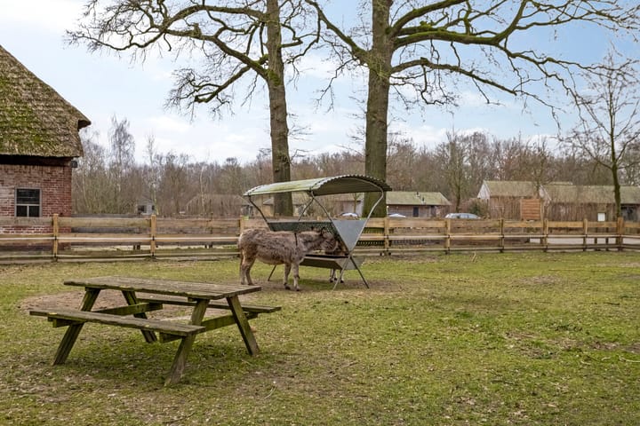 Foto 47 van Hyacinth 108