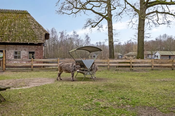 Foto 48 van Hyacinth 108