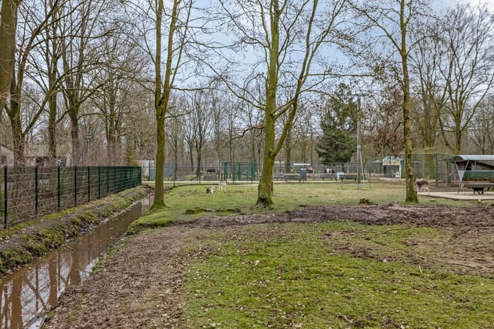 Foto 49 van Hyacinth 108