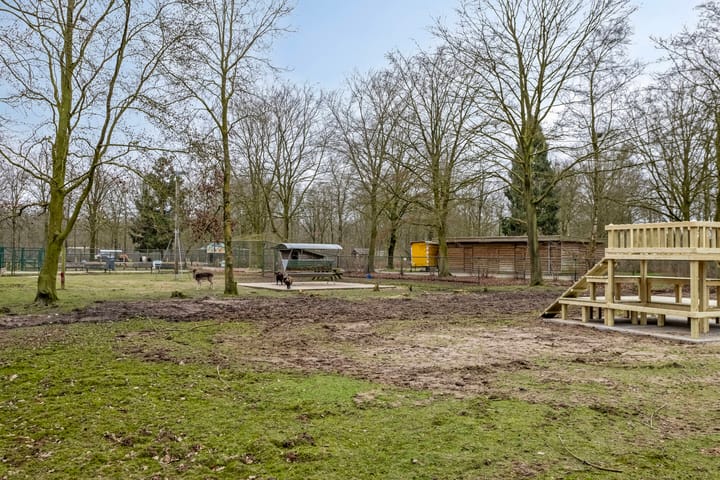 Foto 50 van Hyacinth 108