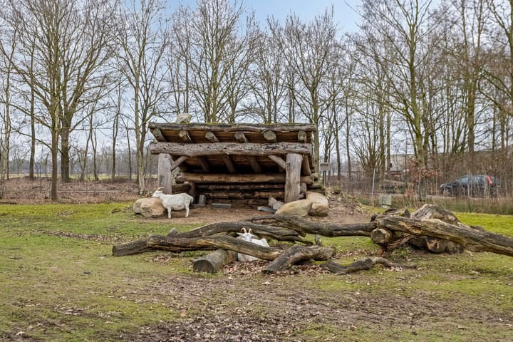 Foto 52 van Hyacinth 108