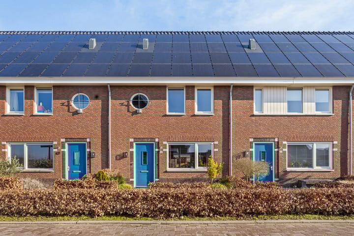 Foto 1 van Lisdodde 60