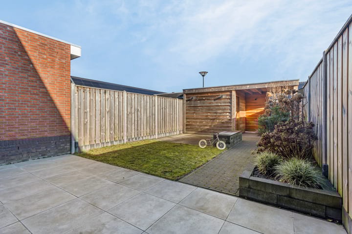 Foto 4 van Lisdodde 60