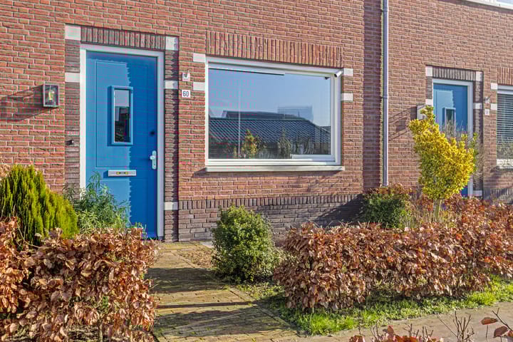 Foto 5 van Lisdodde 60