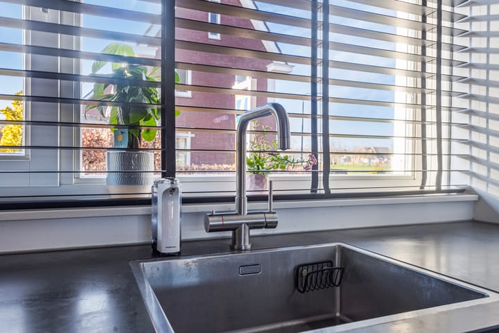 Foto 17 van Lisdodde 60