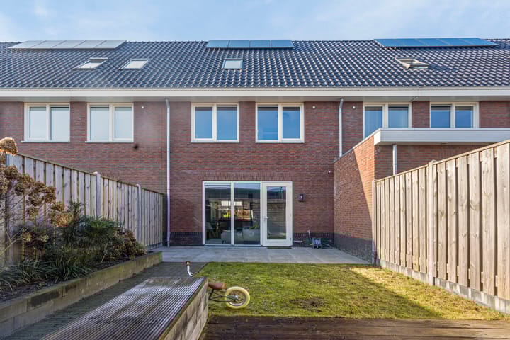 Foto 31 van Lisdodde 60