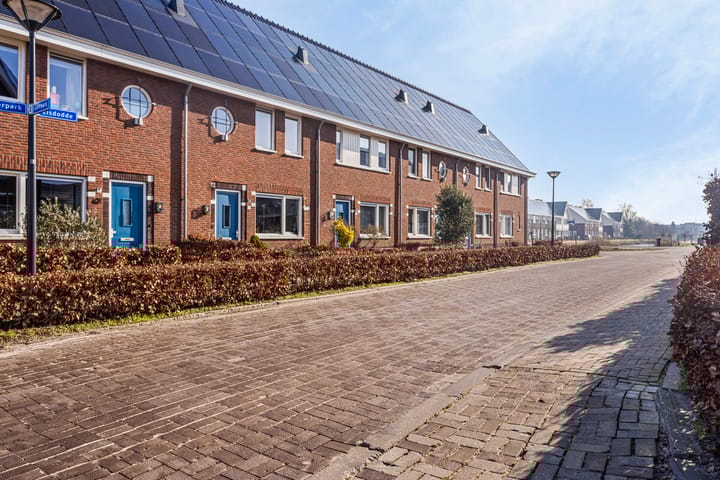 Foto 32 van Lisdodde 60