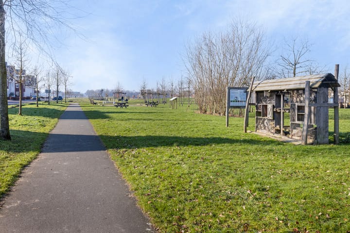 Foto 33 van Lisdodde 60