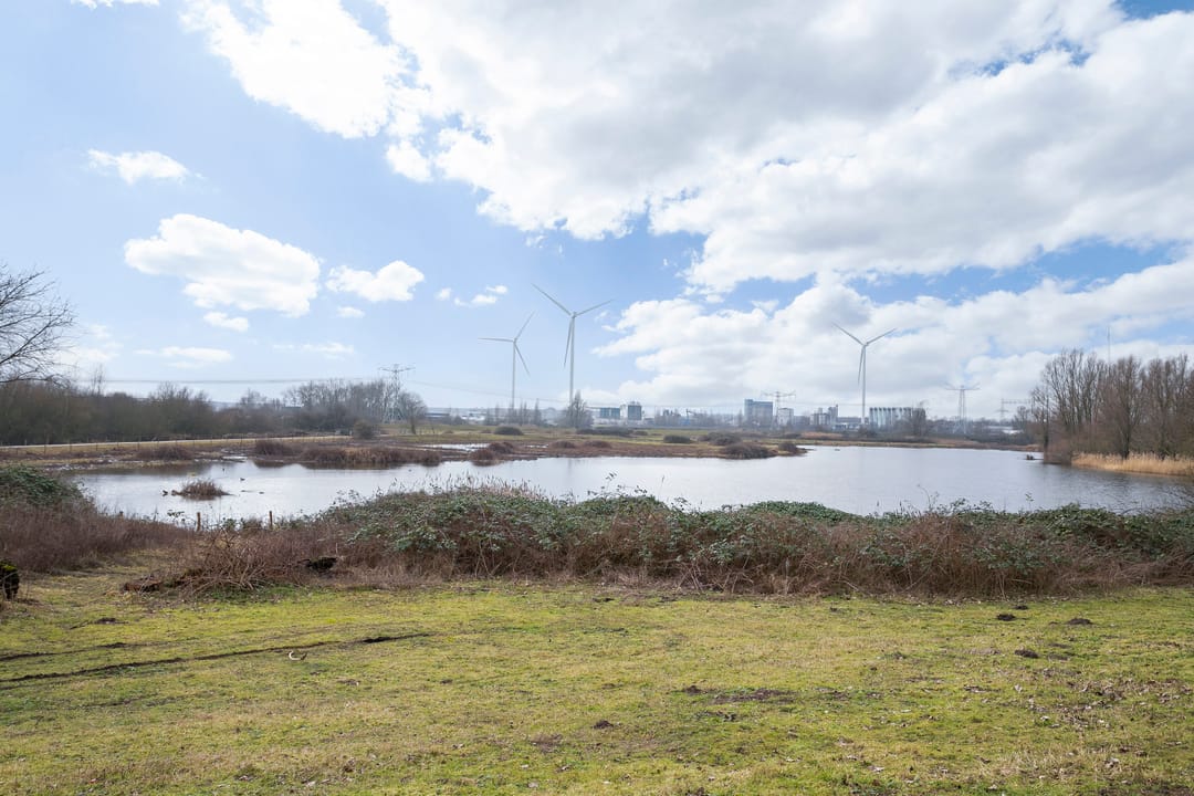 Foto 41 van Orthen 163