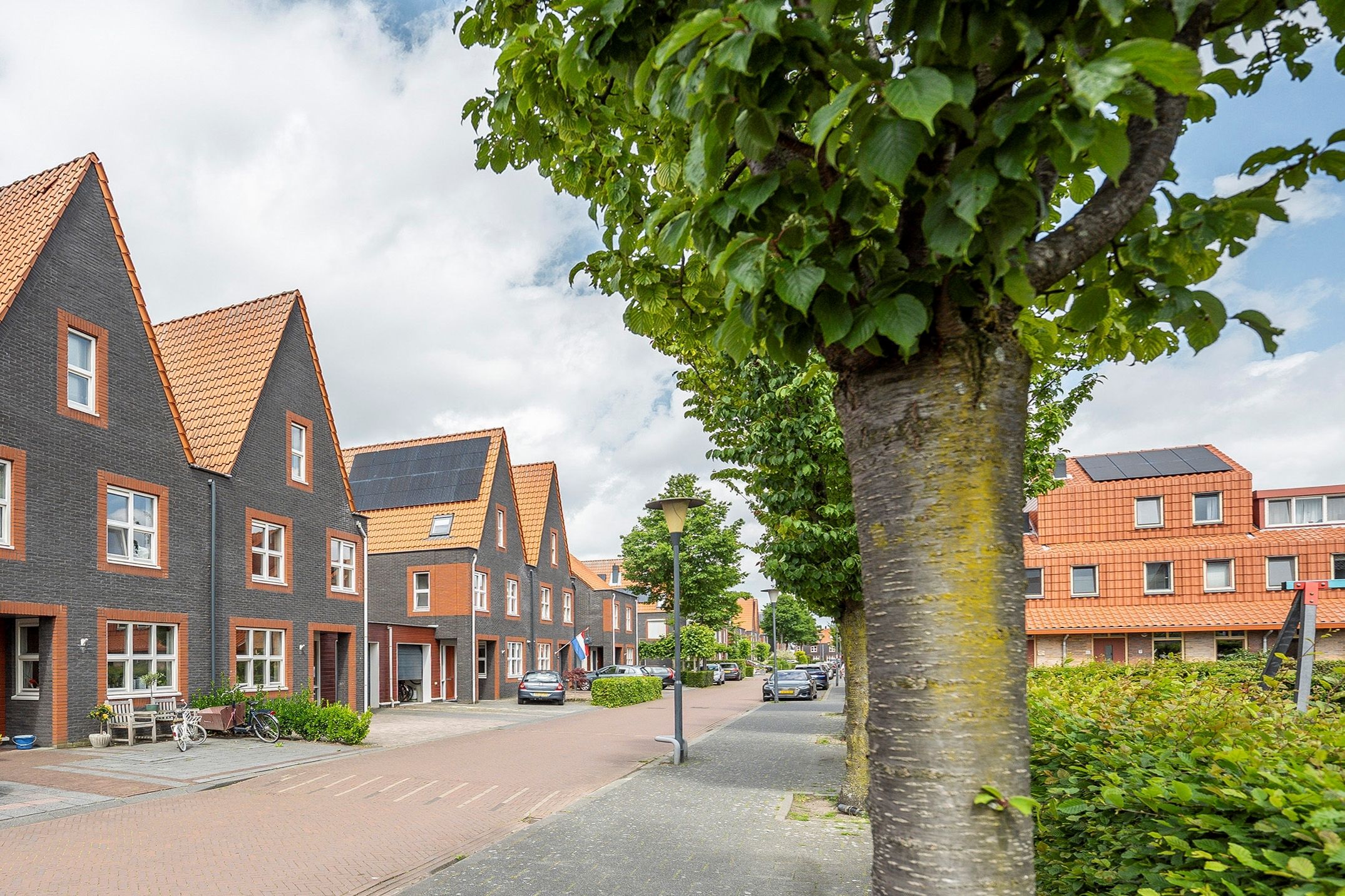 Foto 42 van Citroenvlinderstraat 66