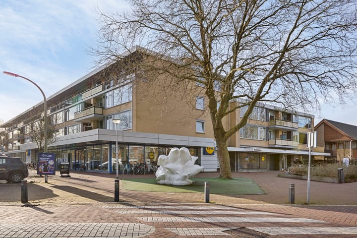 Foto 28 van Nobellaan 37