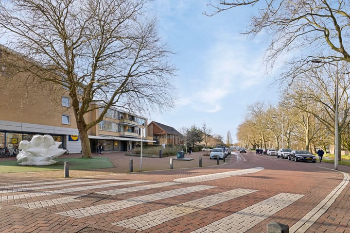 Foto 30 van Nobellaan 37