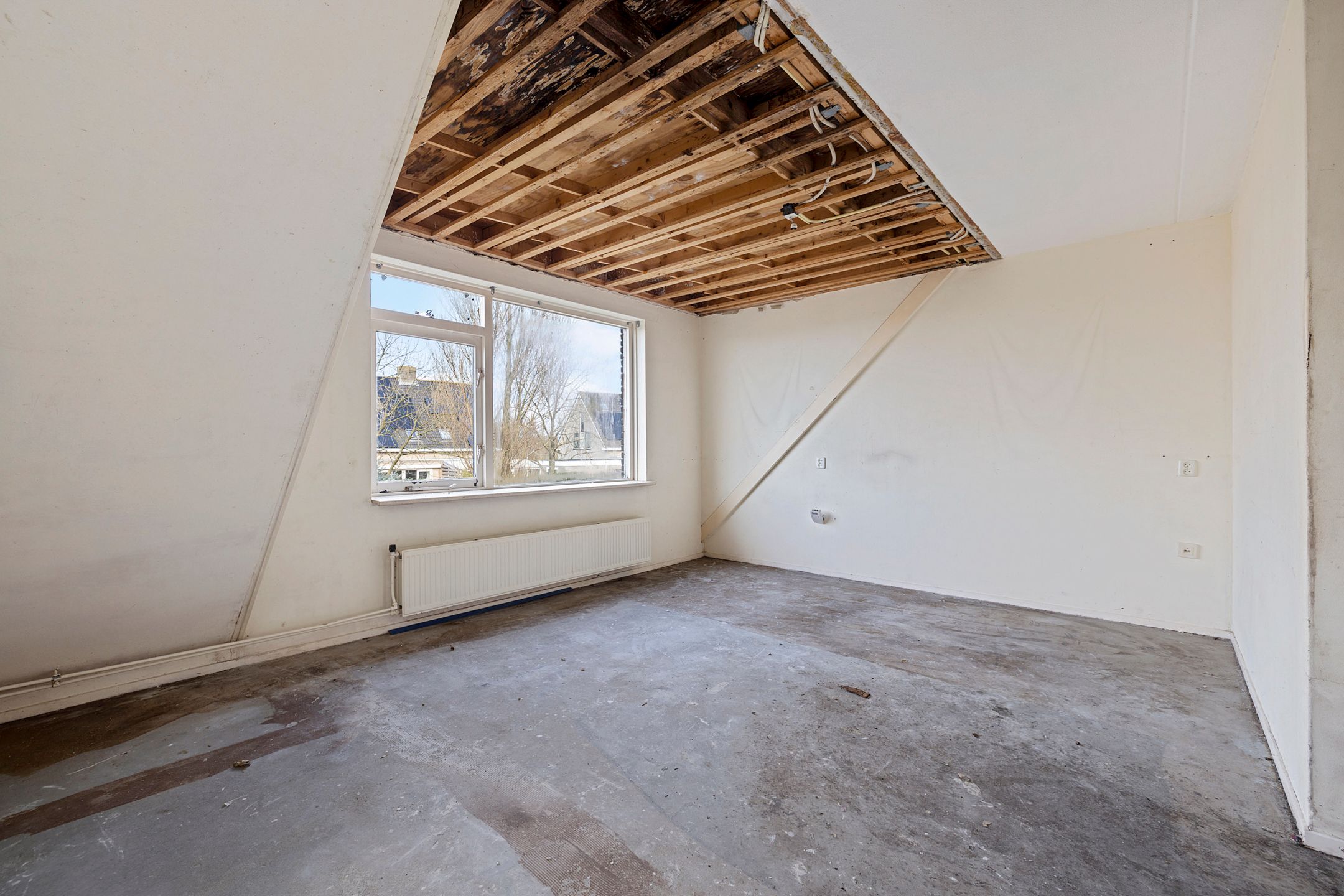 Foto 6 van De Leeuw 59