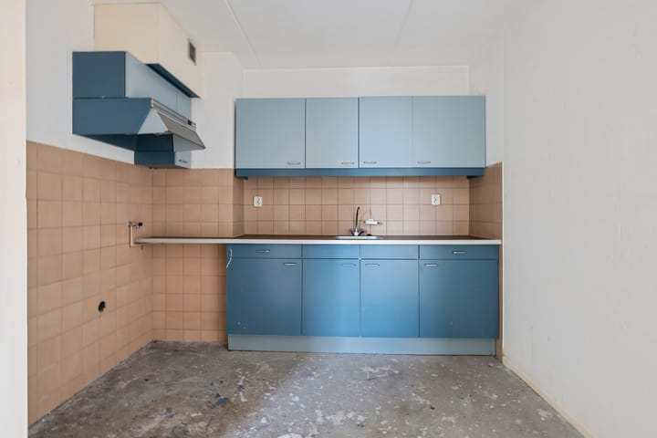 Foto 9 van De Leeuw 59