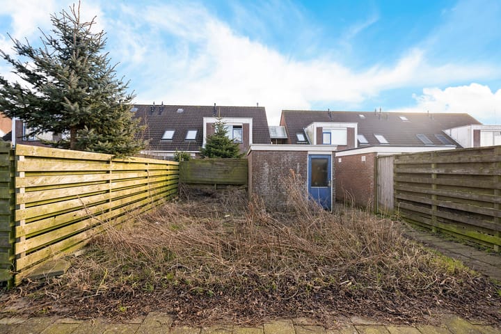 Foto 19 van De Leeuw 59