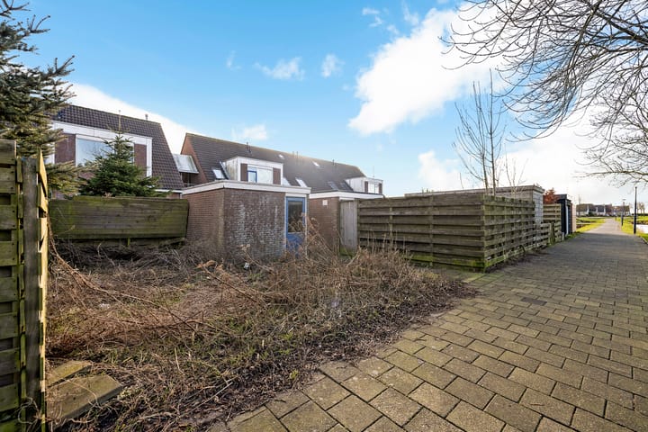 Foto 20 van De Leeuw 59