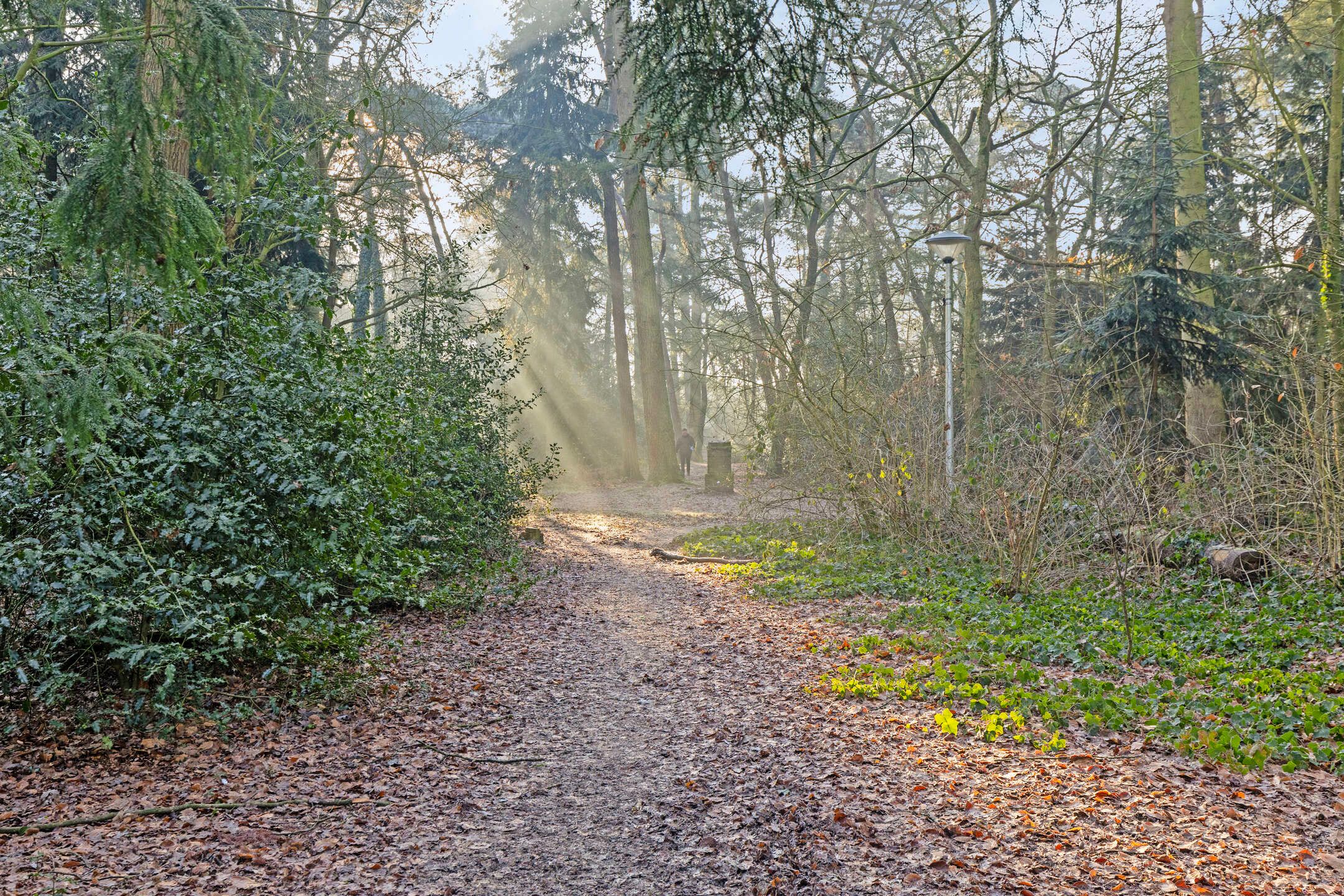 Foto 27 van Sallandhof 124